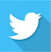 Icone logo Twitter