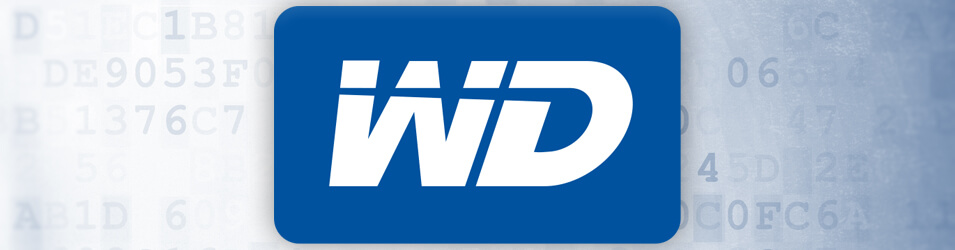 Disque dur Western digital HS